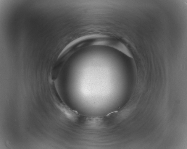 X0000082930288200702081549