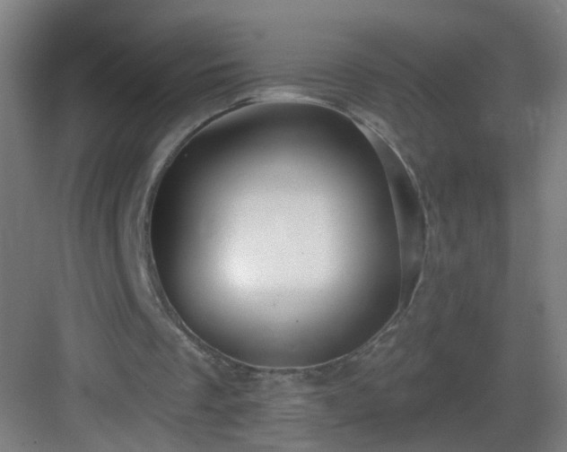 X0000082930289200702081548