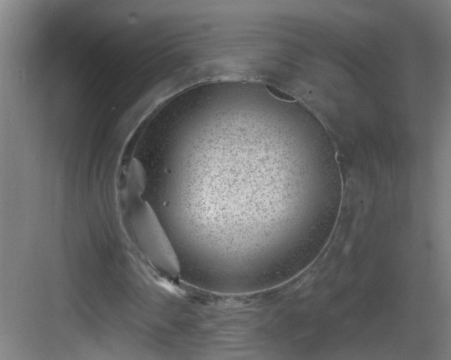 X0000082930290200702081548