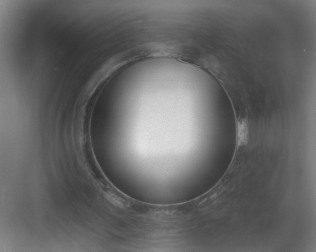 X0000082930291200702081548