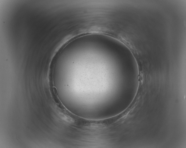 X0000082930292200702081548