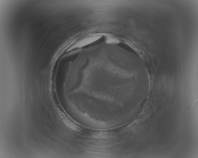 X0000082930293200702081548