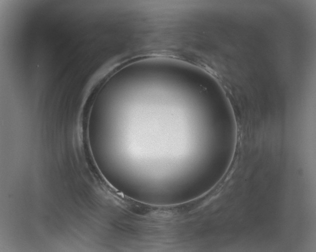 X0000082930294200702081548