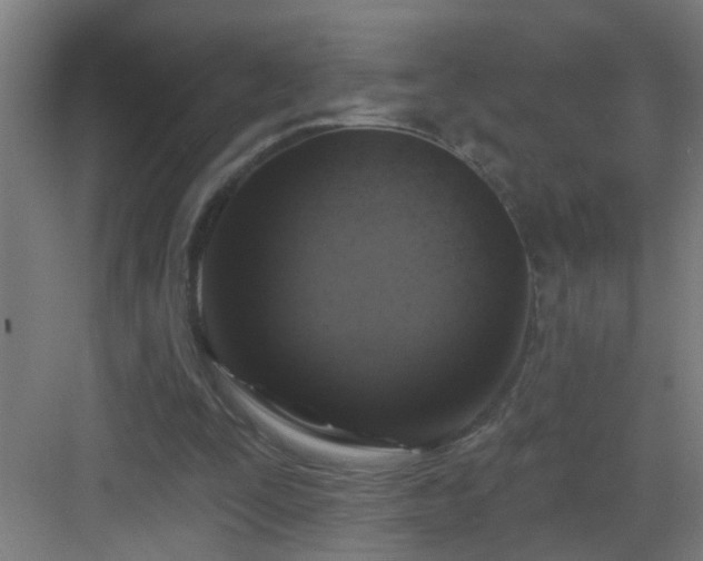 X0000082930295200702081548