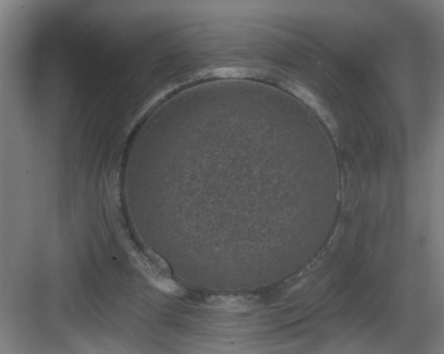 X0000082930297200702081548