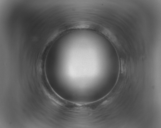 X0000082930300200702081548