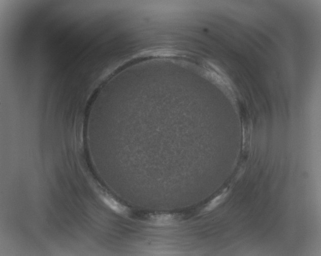 X0000082930301200702081548