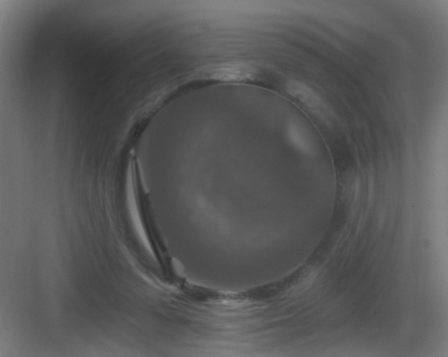 X0000082930303200702081548