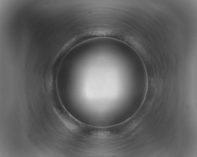 X0000082930304200702081548