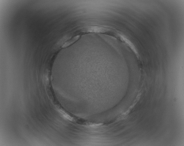 X0000082930305200702081548