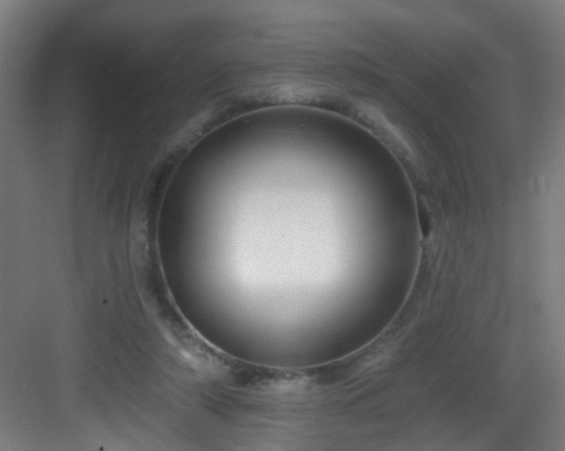 X0000082930306200702081548