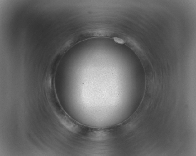 X0000082930310200702081548