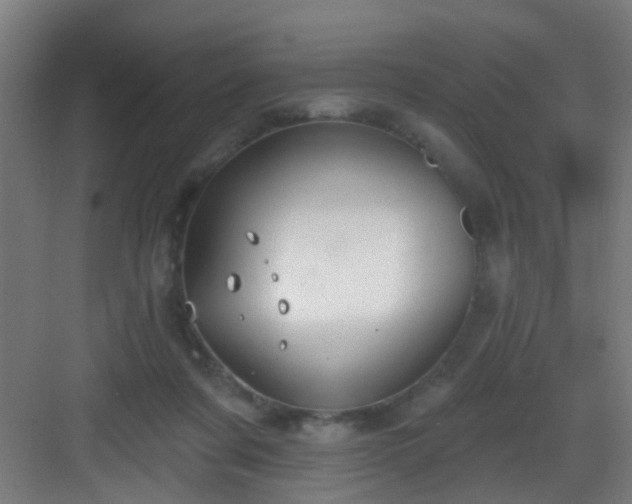 X0000082930311200702081548