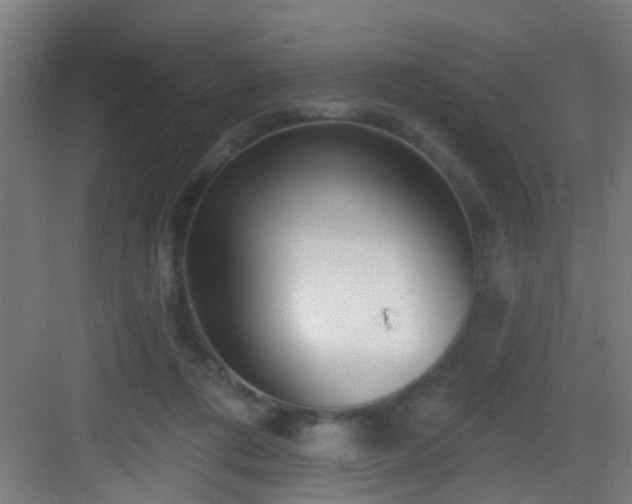 X0000082930312200702081548