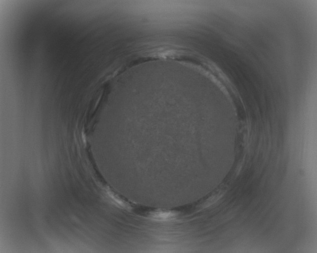 X0000082930313200702081548