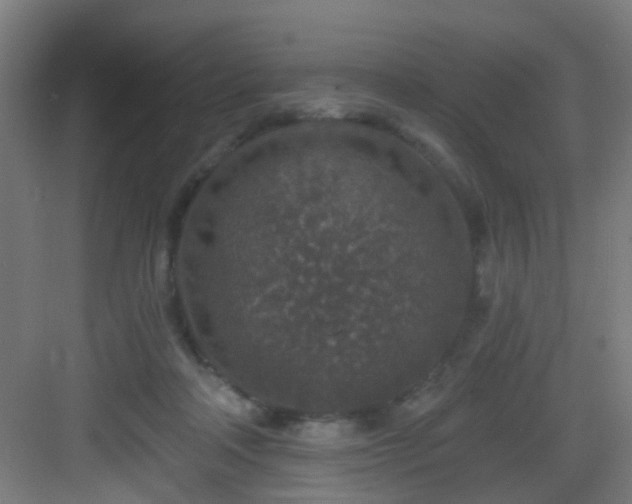 X0000082930314200702081548