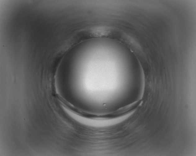 X0000082930315200702081548