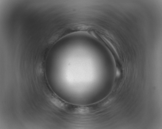 X0000082930317200702081548