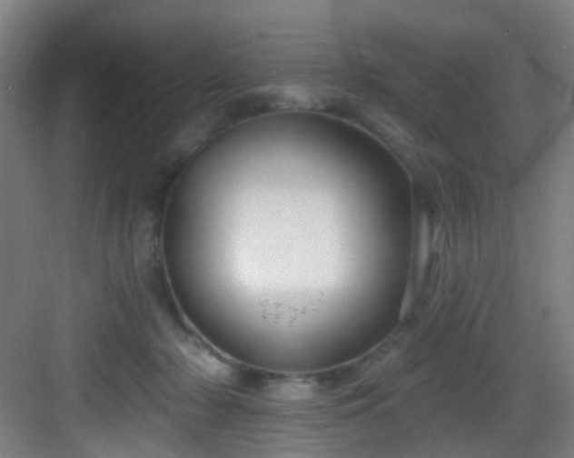 X0000082930318200702081548