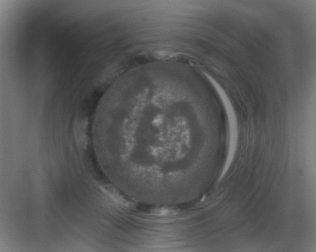 X0000082930319200702081548