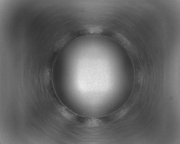 X0000082930321200702081548