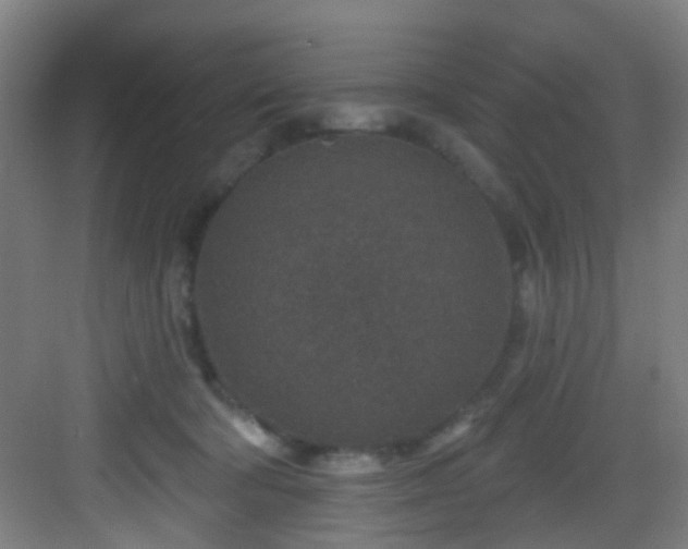 X0000082930322200702081548