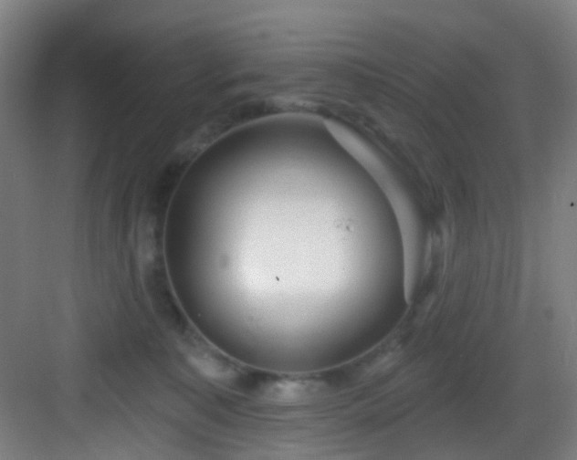 X0000082930323200702081548