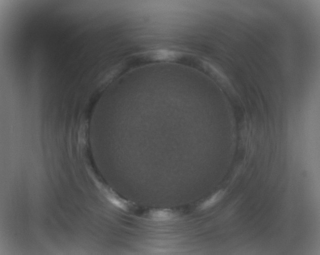 X0000082930325200702081547