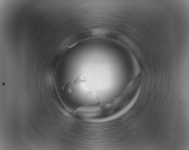 X0000082930329200702081547