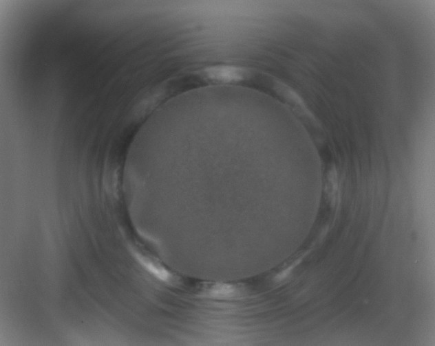 X0000082930330200702081547