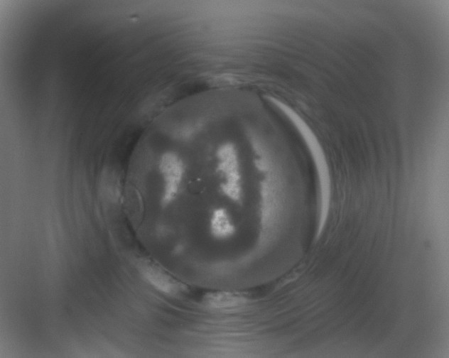 X0000082930331200702081547