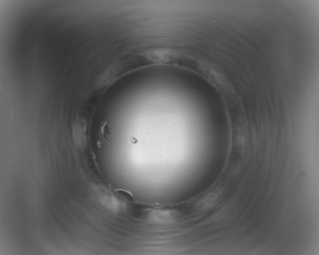 X0000082930332200702081547