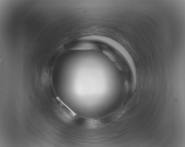 X0000082930333200702081547