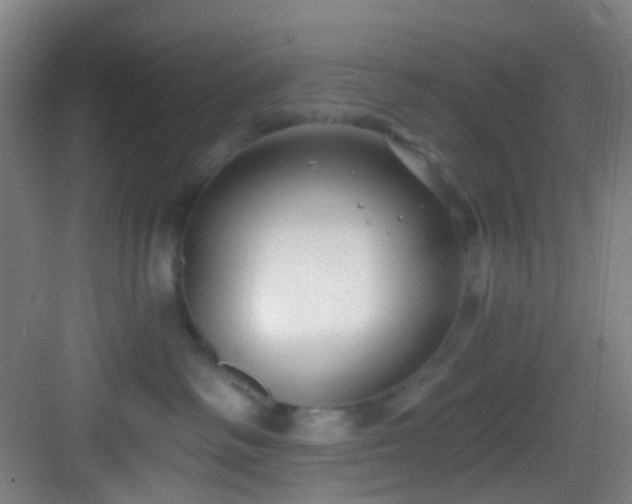 X0000082930334200702081547