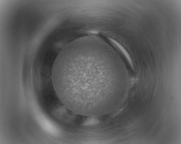 X0000082930335200702081547