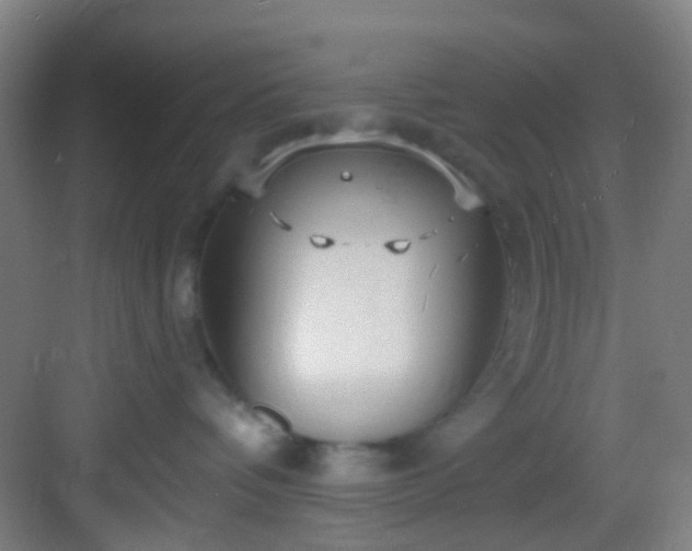 X0000082930336200702081547