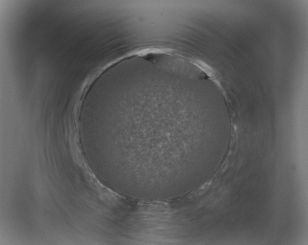 X0000082930337200702081546