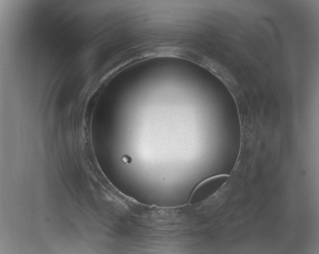 X0000082930338200702081546