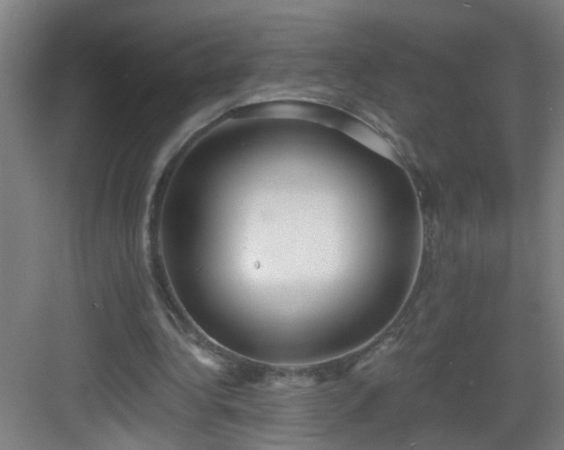 X0000082930340200702081547