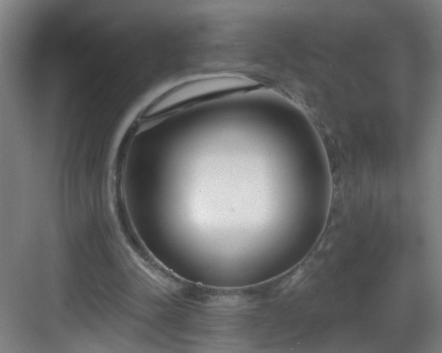 X0000082930342200702081547