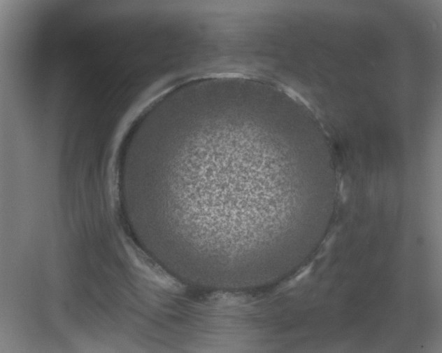 X0000082930343200702081547