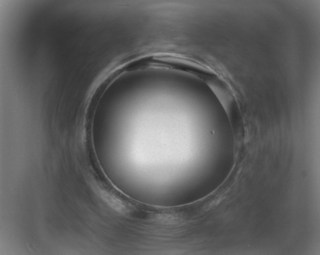 X0000082930344200702081547