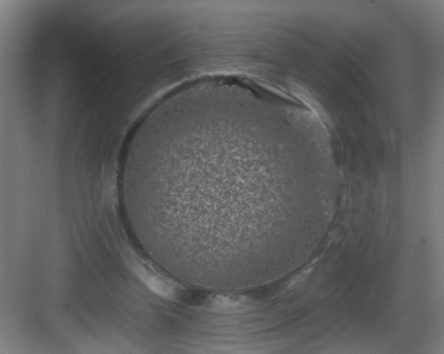 X0000082930346200702081547