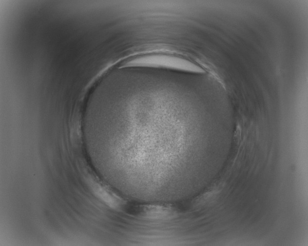 X0000082930347200702081547