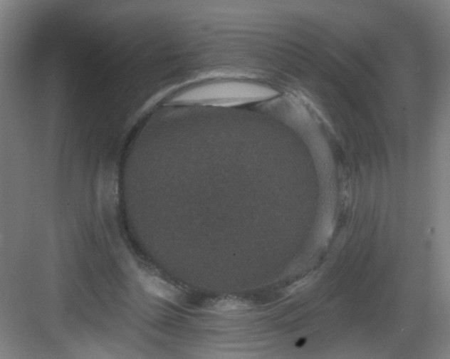 X0000082930348200702081547