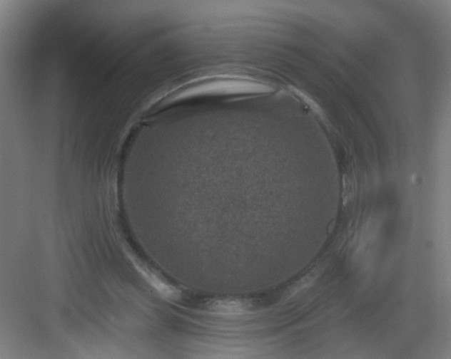 X0000082930349200702081547