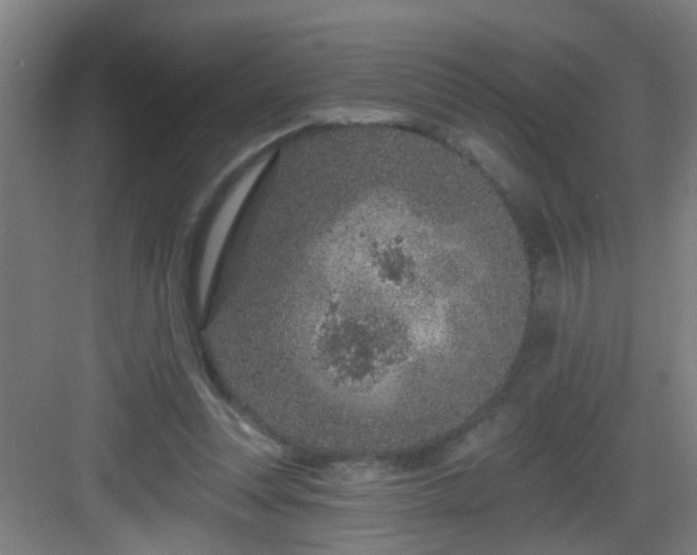 X0000082930351200702081547