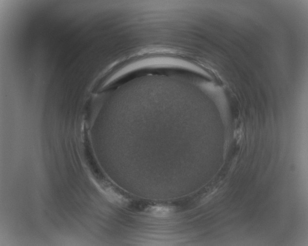 X0000082930352200702081547