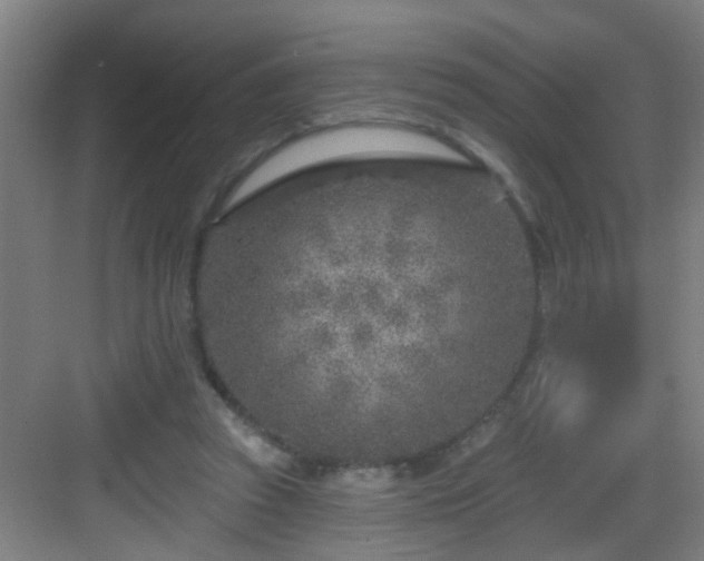 X0000082930353200702081547