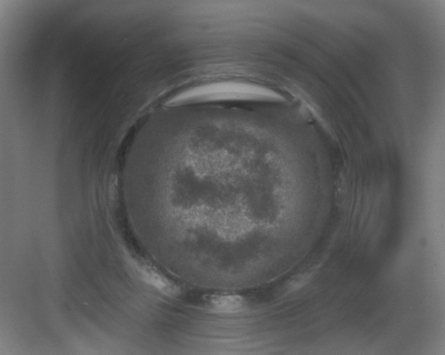 X0000082930355200702081547